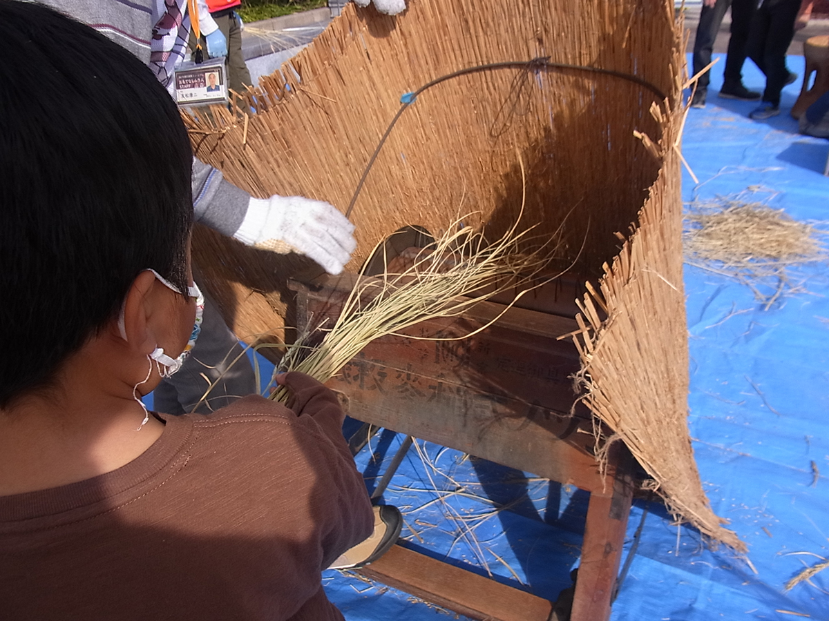 あいち朝日遺跡ミュージアム
