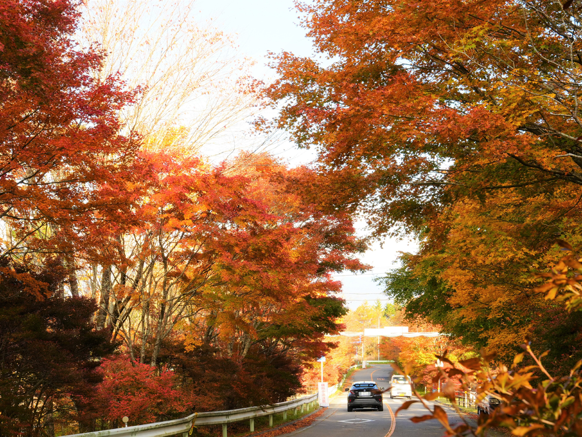 とよね村 里山体験BOOK