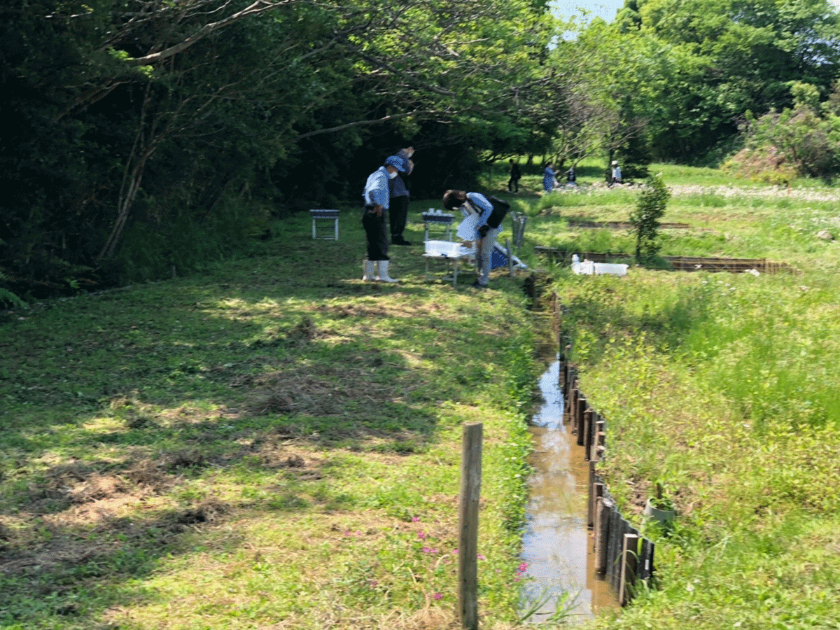 【需提前預約】南吉的螢火蟲節