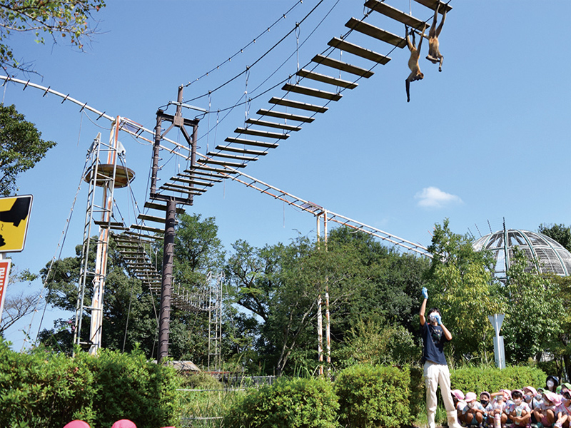 日本モンキーセンター