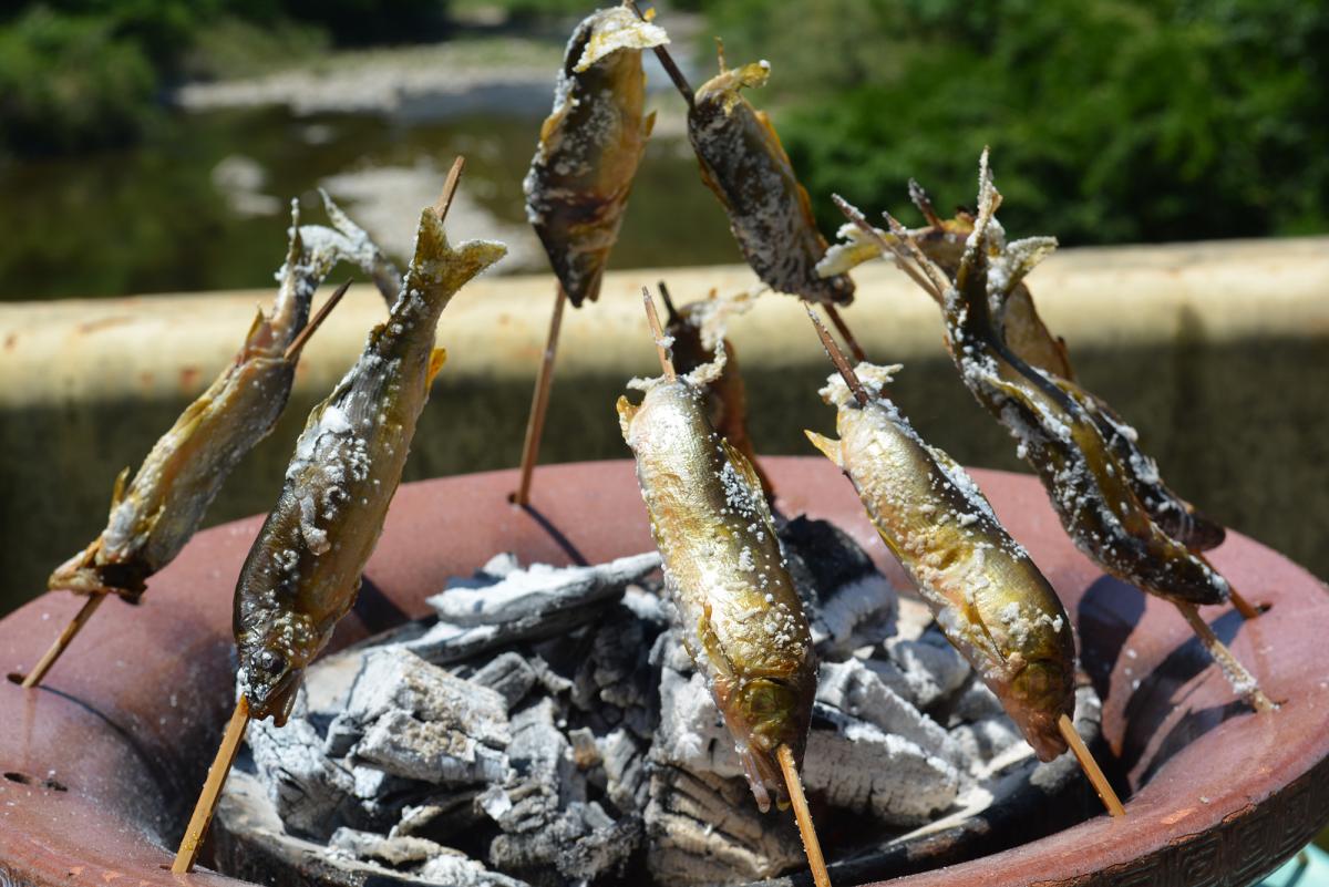 東栄町 日本一の鮎