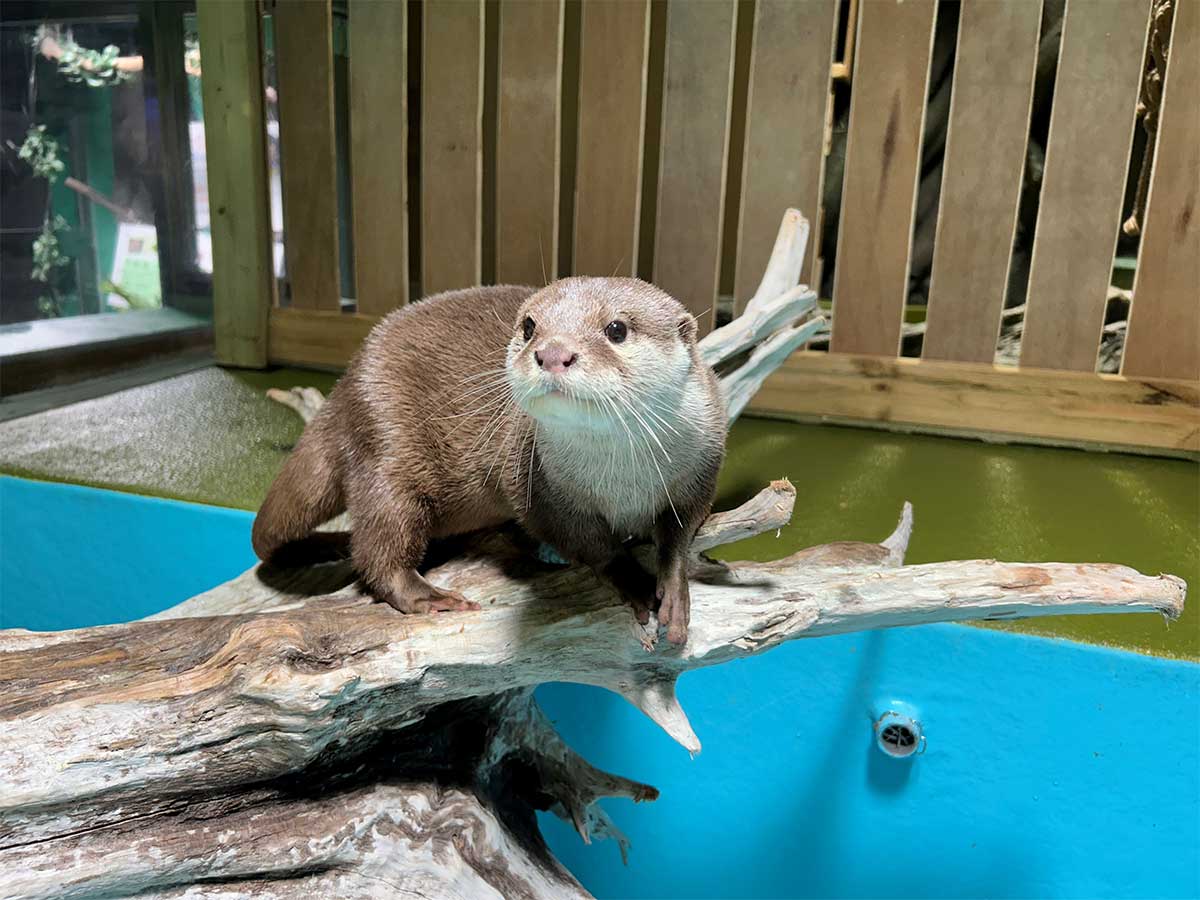 다케시마 수족관