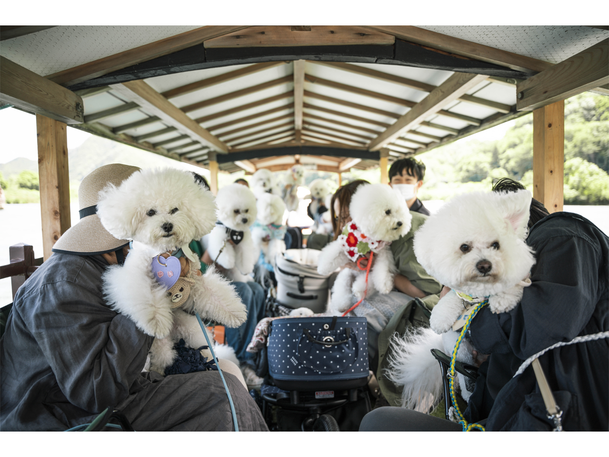 わんわんクルーズ