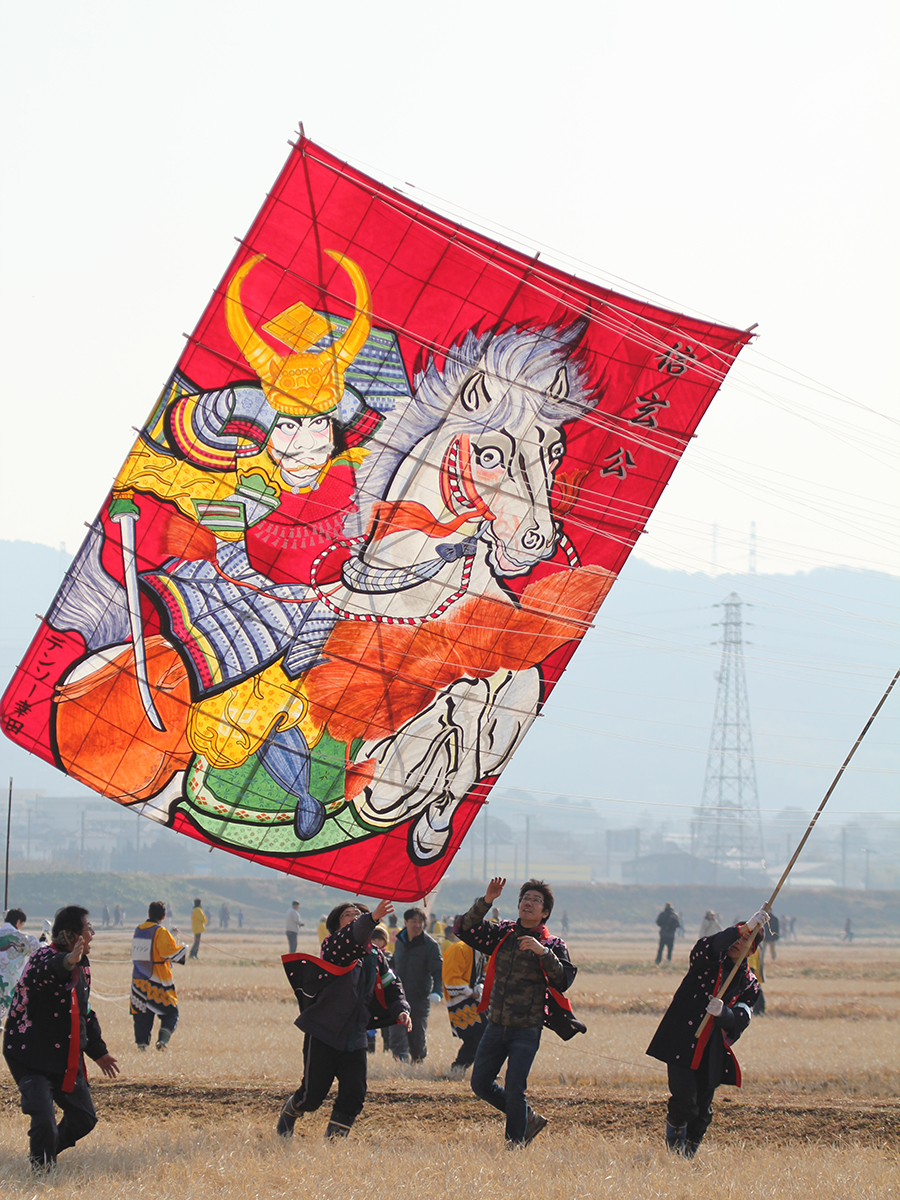 New Year Freestyle Kite Flying Festival