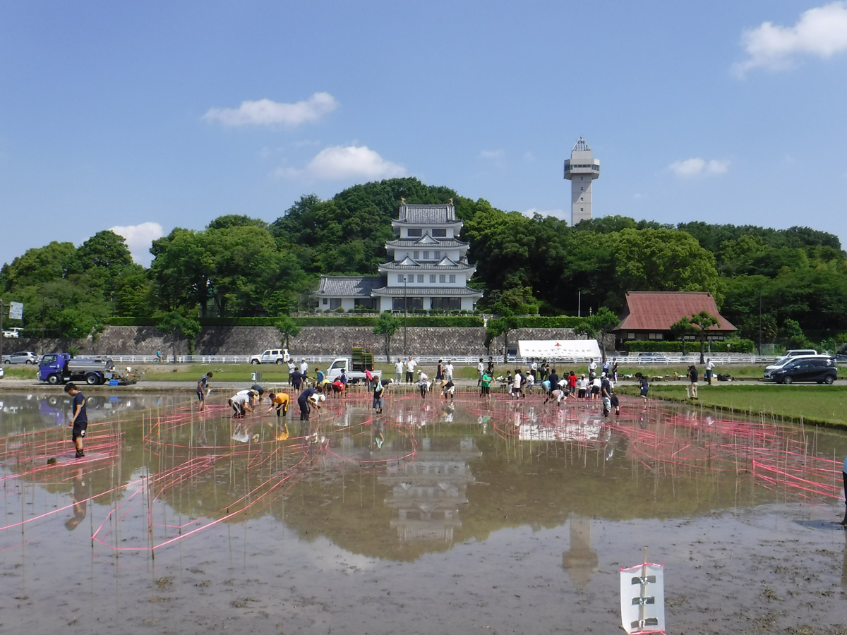 田んぼアート