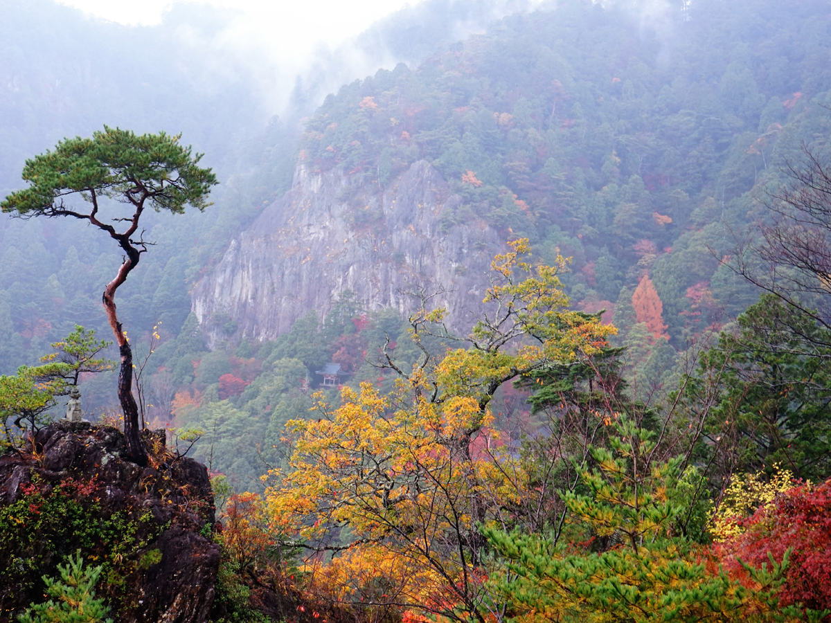 鳳来寺山もみじまつり