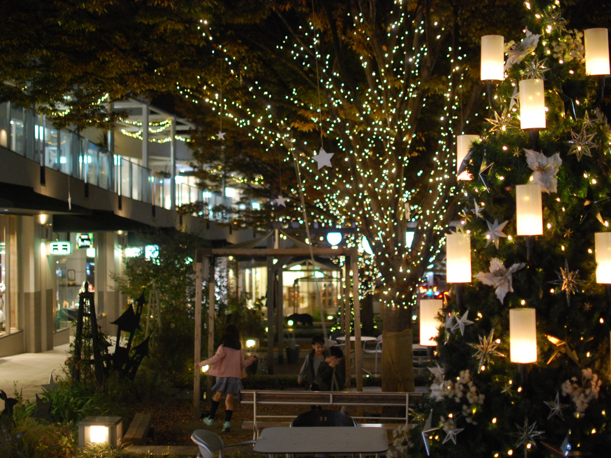 星が丘テラス　ウインターイルミネーション