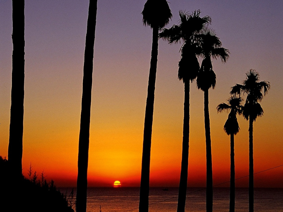 Pacific Long Beach and Oishi Shore