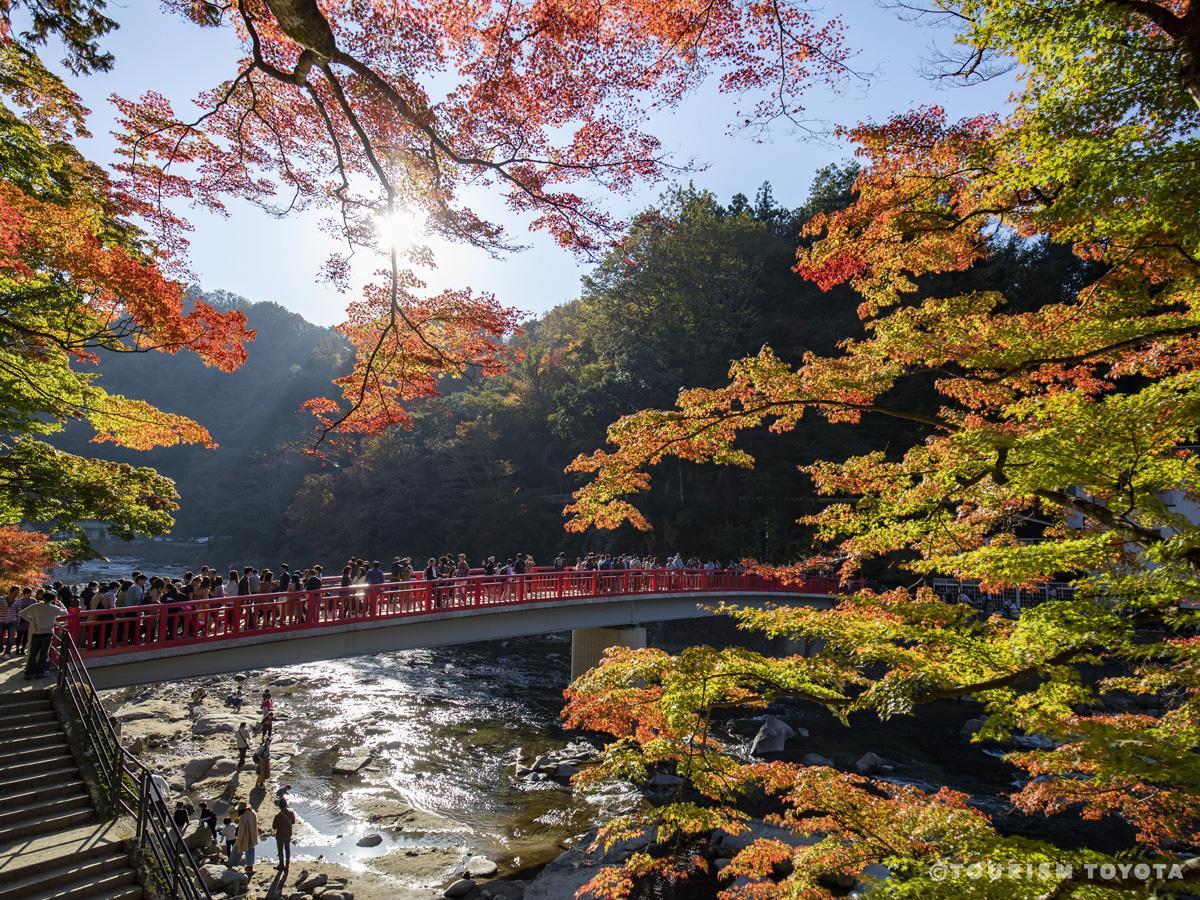 封印せよ！目覚めし足助衆伝説