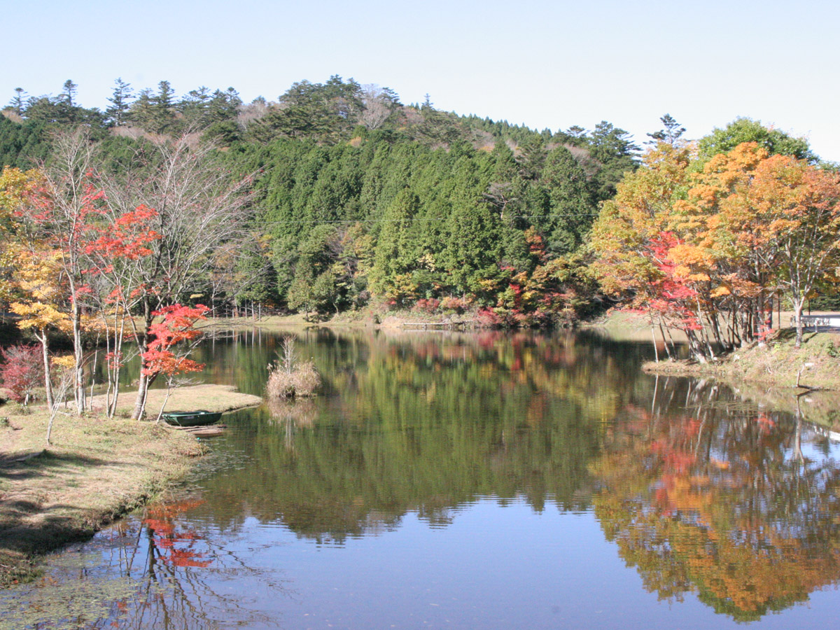 段戸裏谷原生林(きららの森)