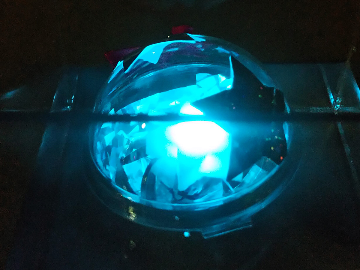 春の発見☆体験ミュージアム