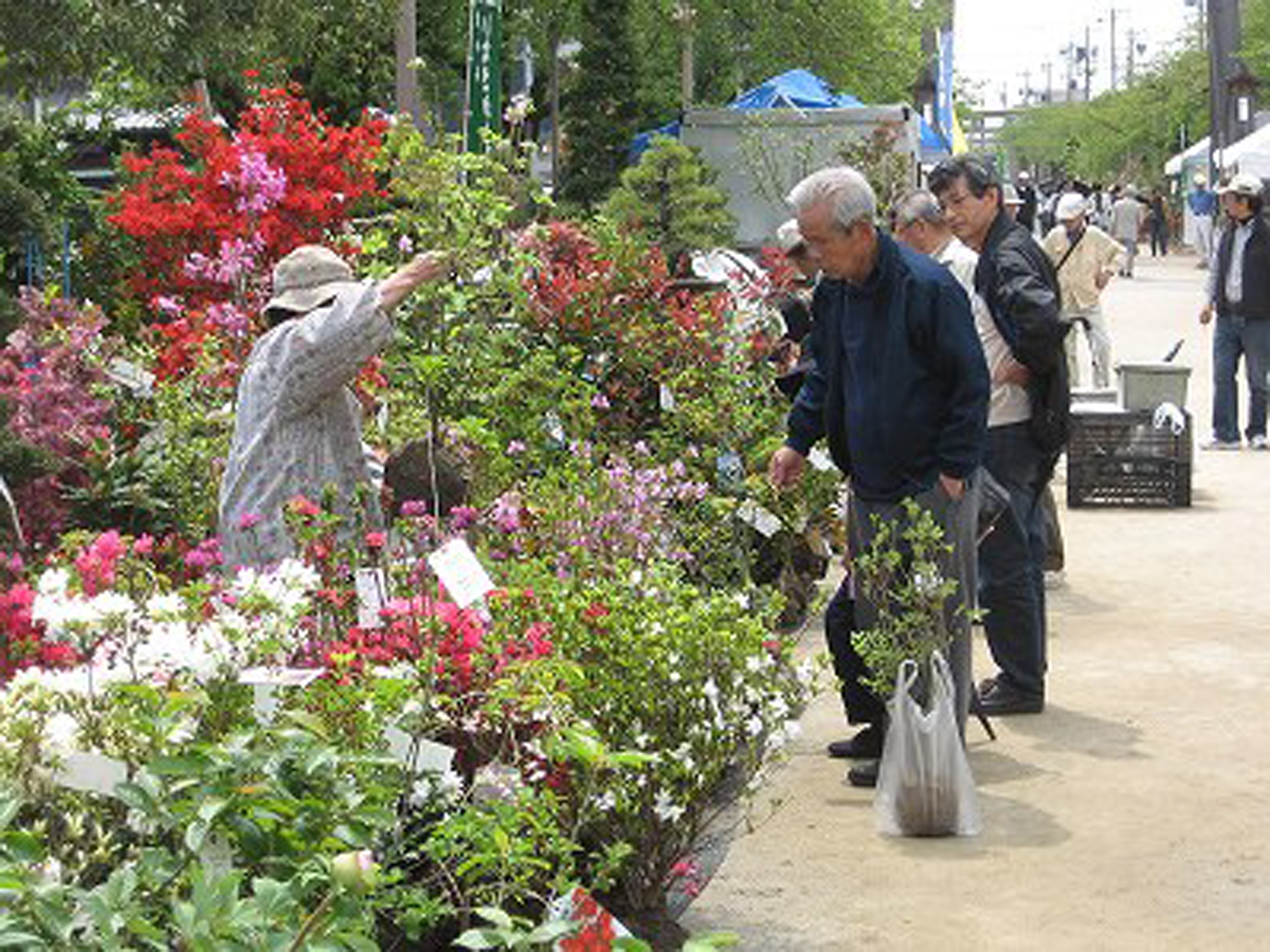 いなざわ植木まつり