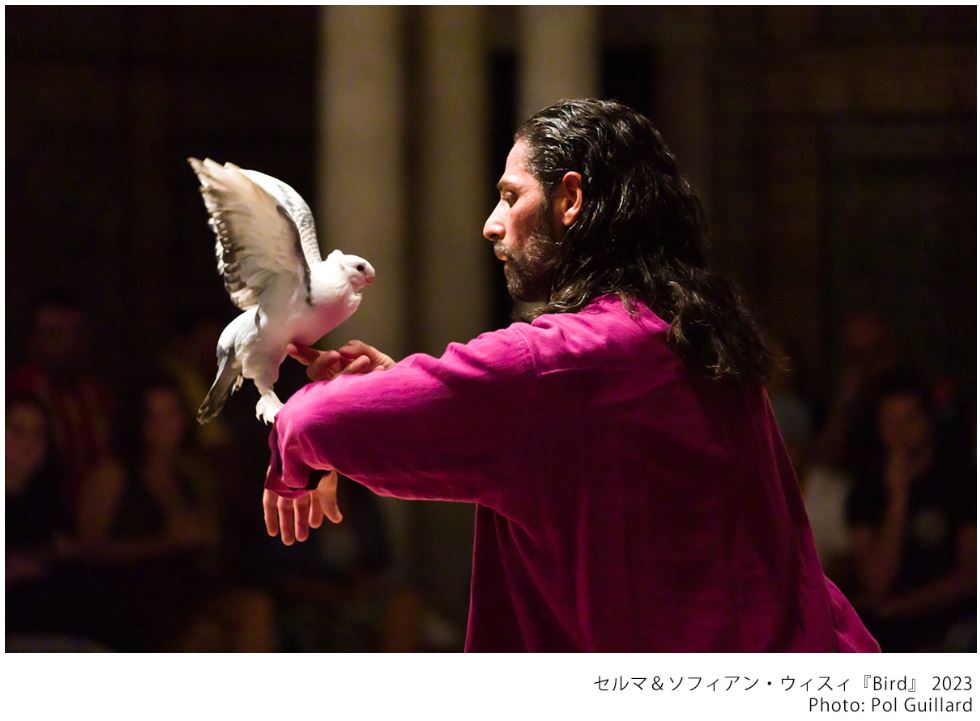 Selma Sofiane Ouissi