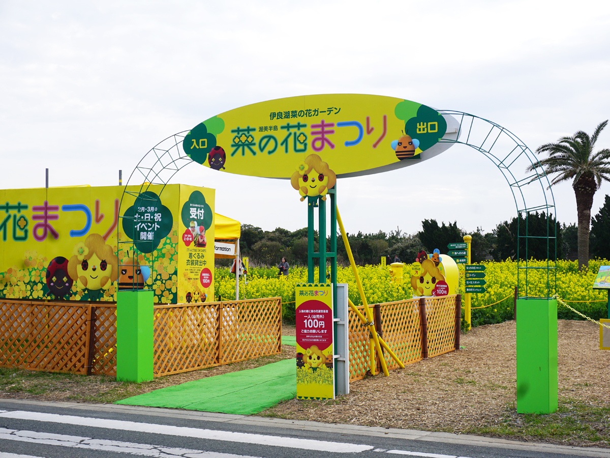 Atsumi Peninsula Nanohana Festival