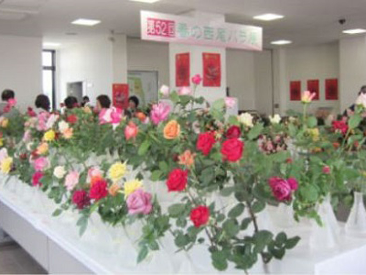 春の西尾バラ展