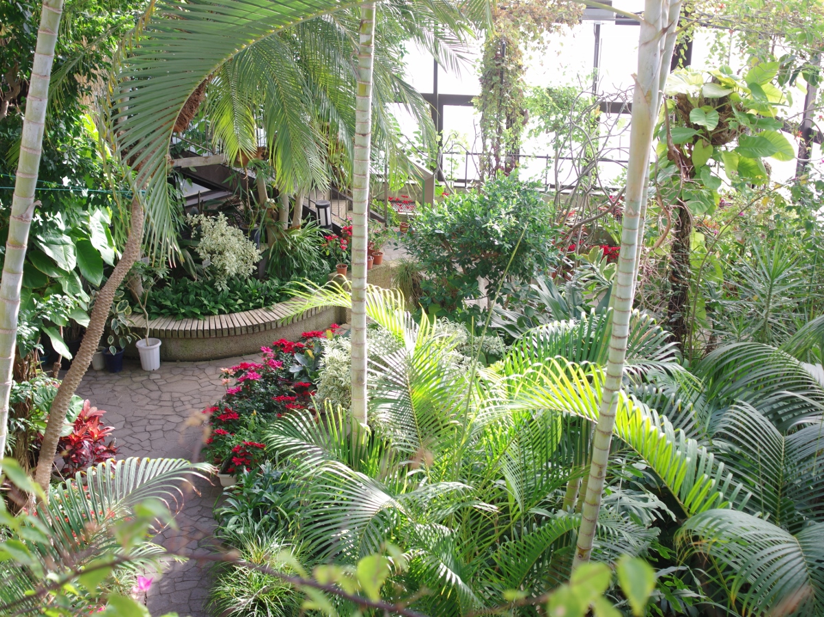 庄内緑地グリーンプラザ