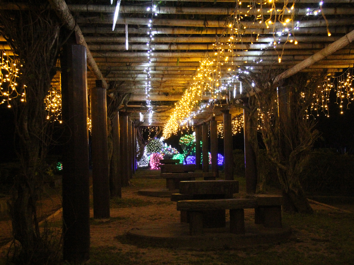 三ヶ根山スカイライン　イルミネーション