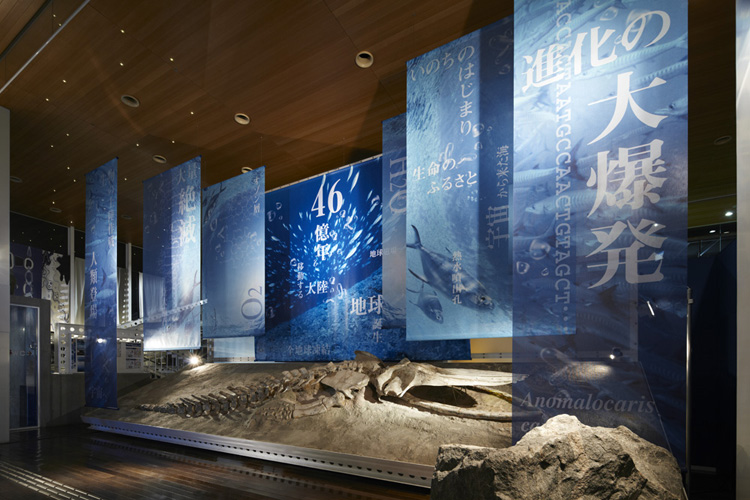 蒲郡市生命之海科学馆