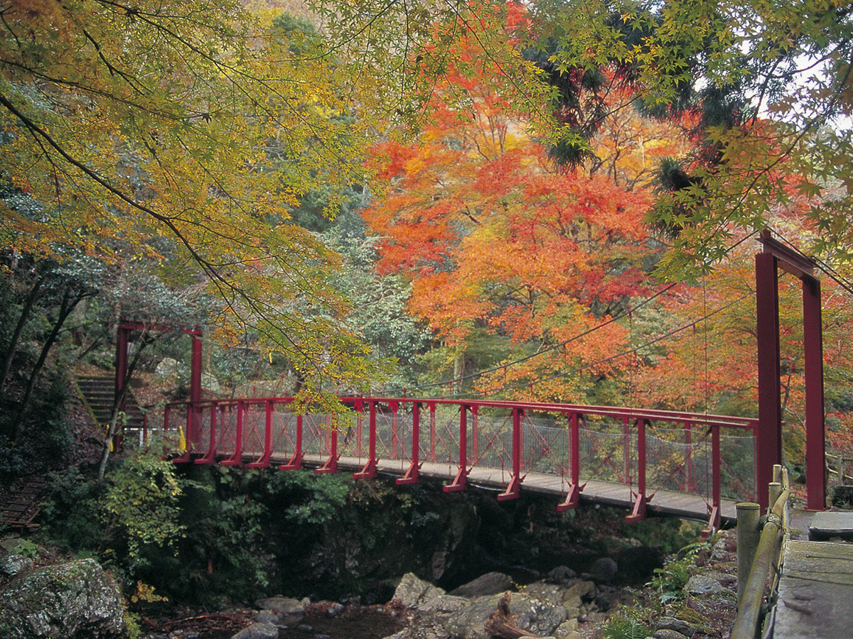 あいちの山里 デジタルポイントラリー