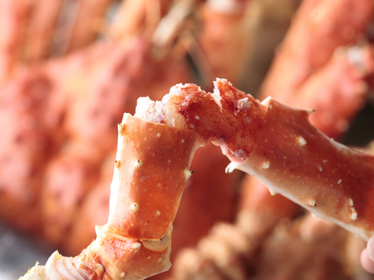 HILTON NAGOYA'S NEW YEAR 2017