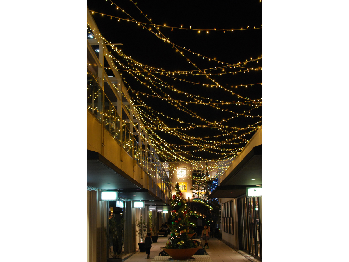 星が丘テラス　ウインターイルミネーション