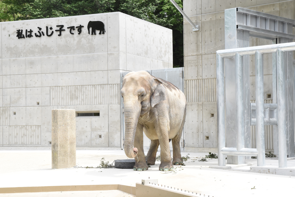 Higashi Park and Mini Zoo (Higashi Koen)