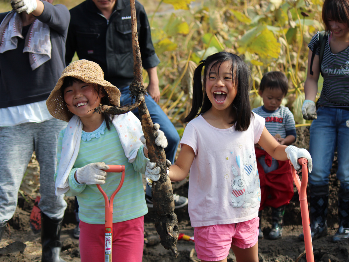 清水食品レンコン掘り体験