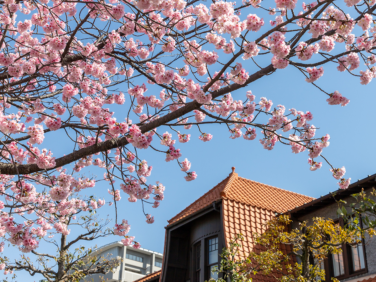 文化之路 二叶馆