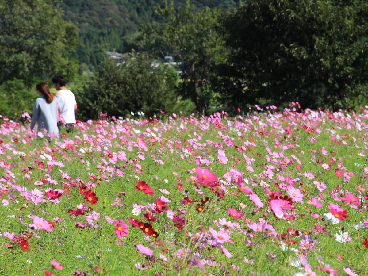 あいちの山里 デジタルポイントラリー