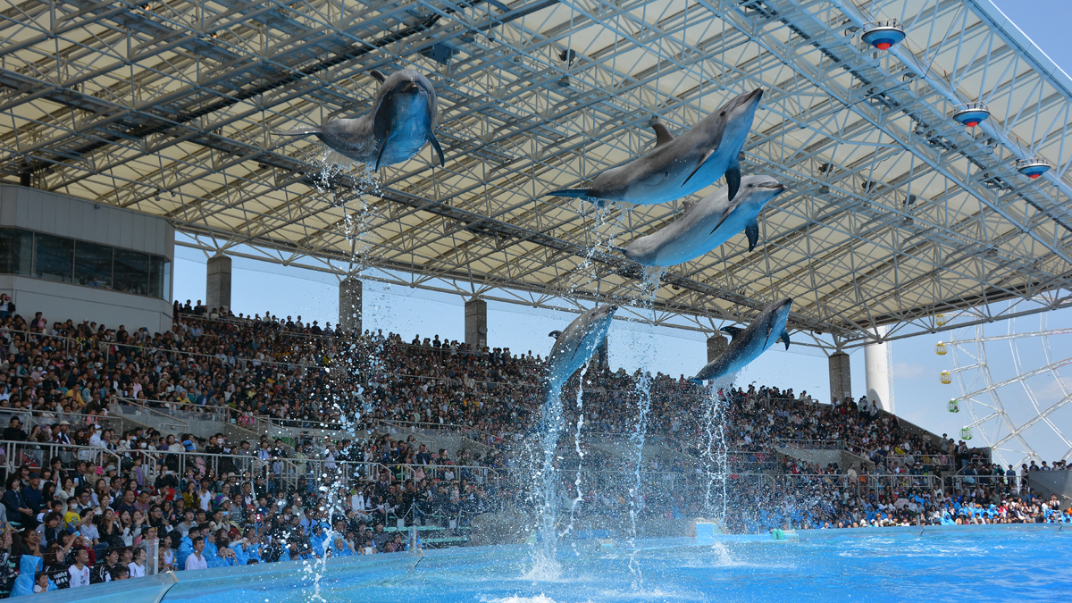 Port of Nagoya Public Aquarium