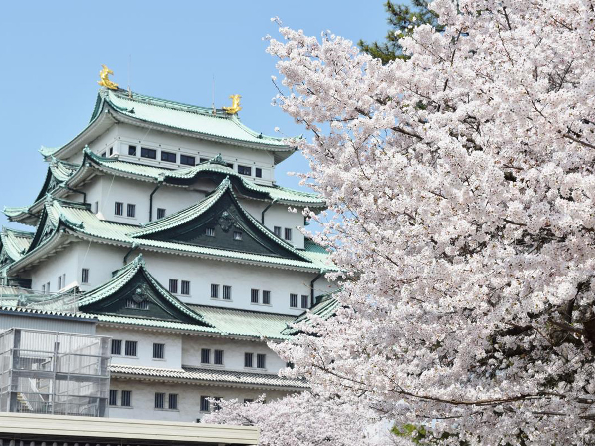 Nagoya Castle Spring Festival 