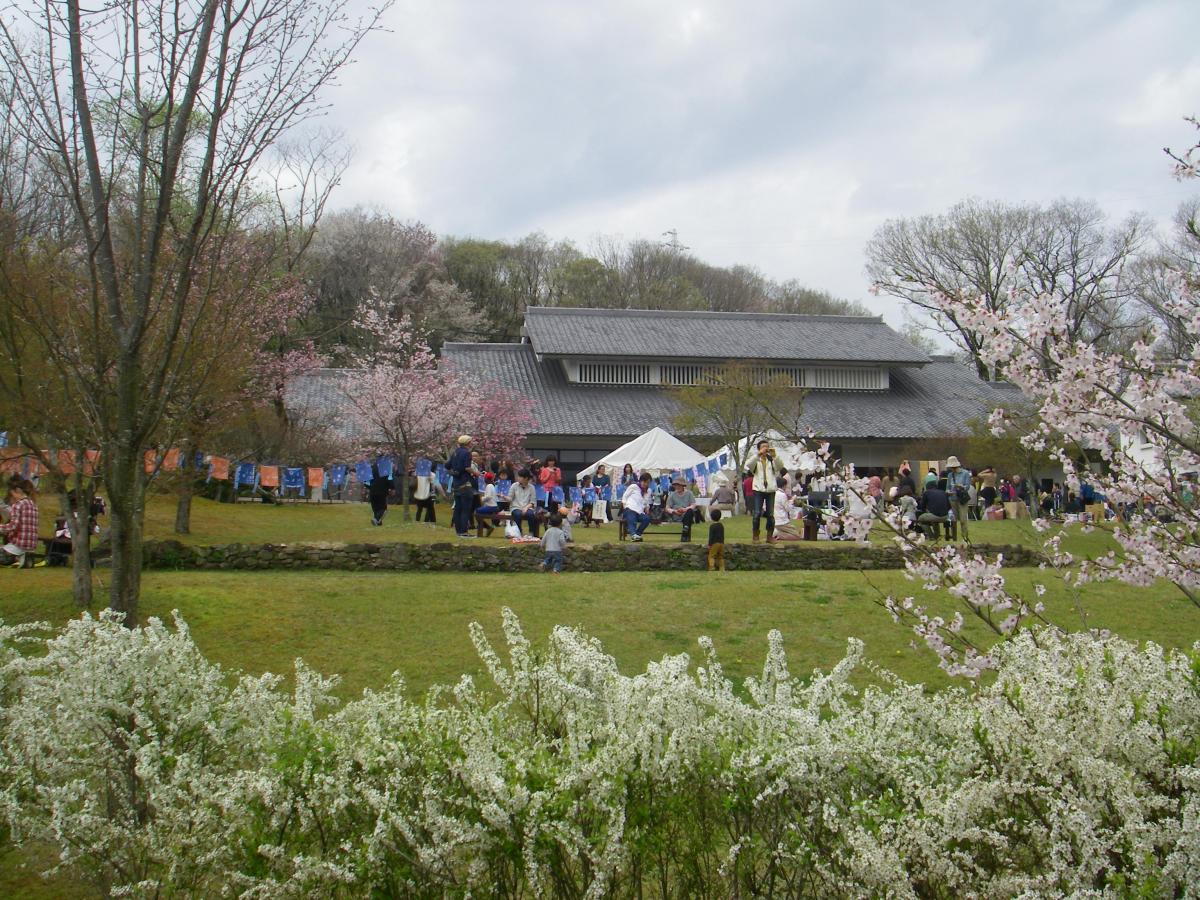 平戸橋桜まつり