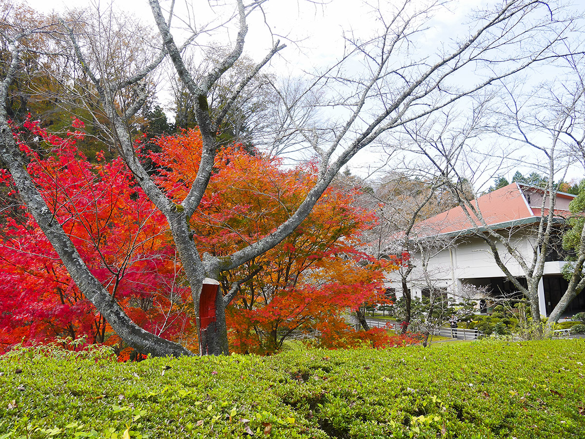 丰田市和纸之乡