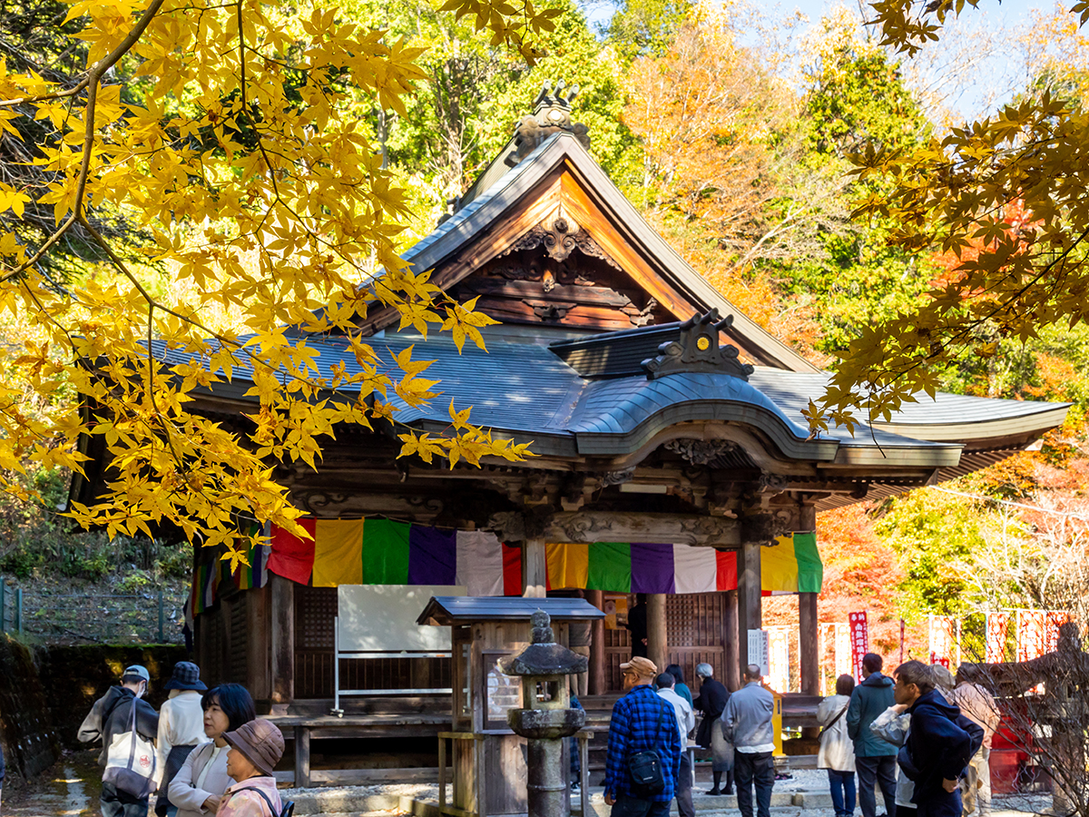 川見四季桜の里