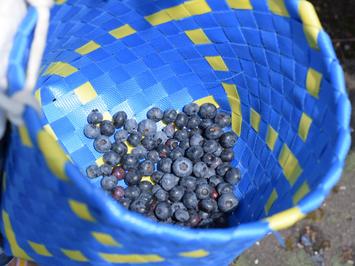 グリーンステージ花の木農園