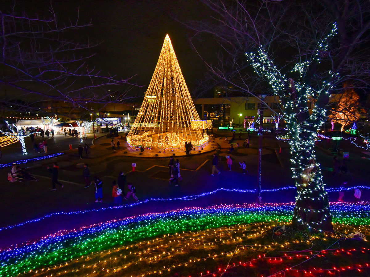 知立梦想灯光秀2023