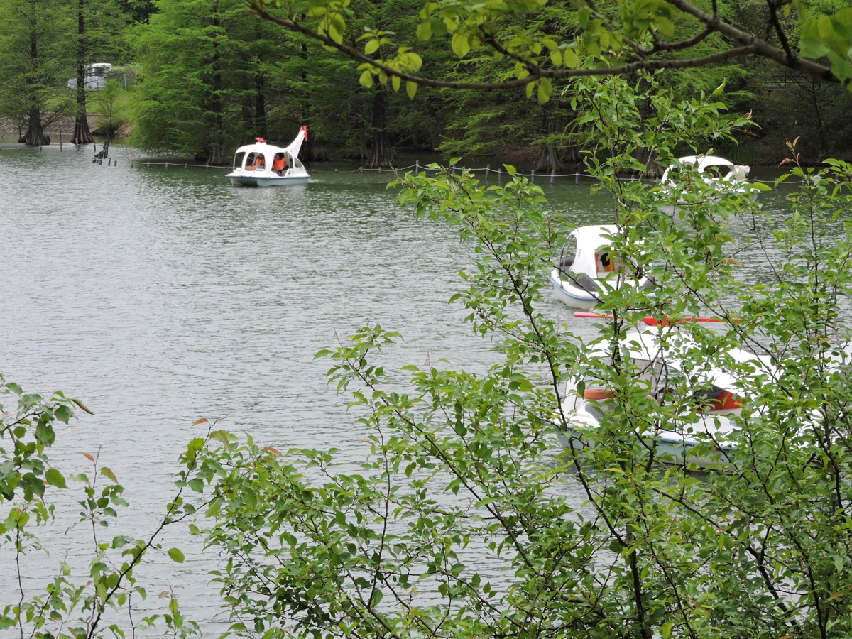 緑と花のフェスティバル