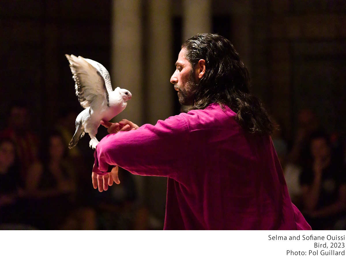 Selma Sofiane Ouissi