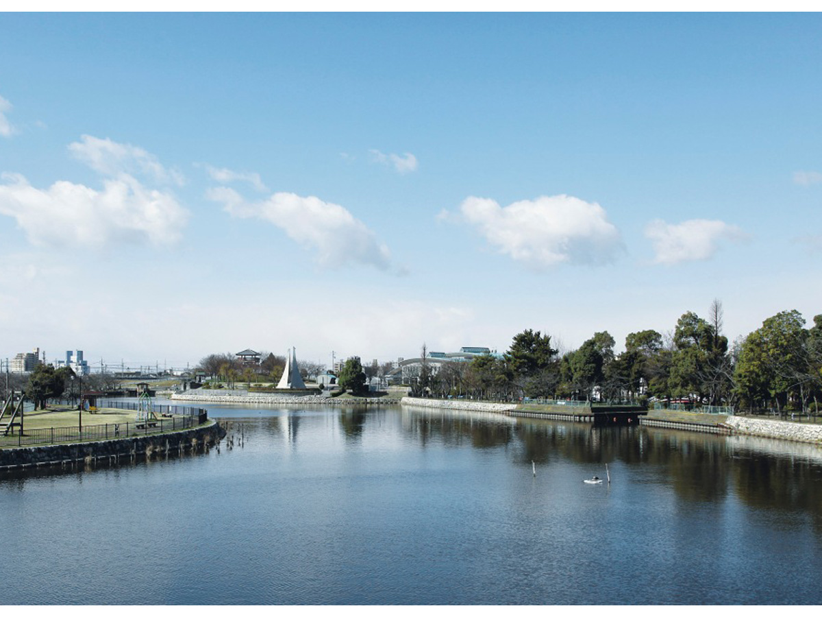 佐屋川創郷公園　ハナショウブ