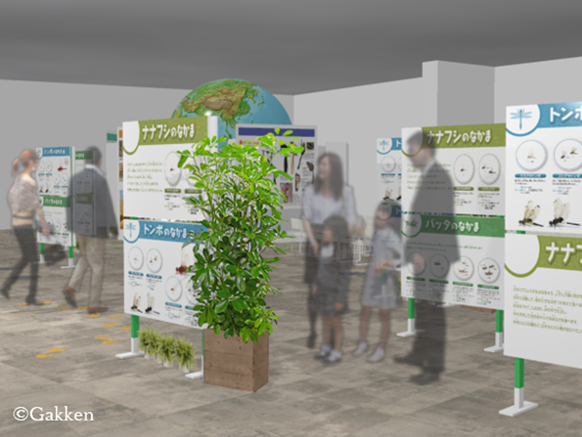 全員集合！地球まもり隊