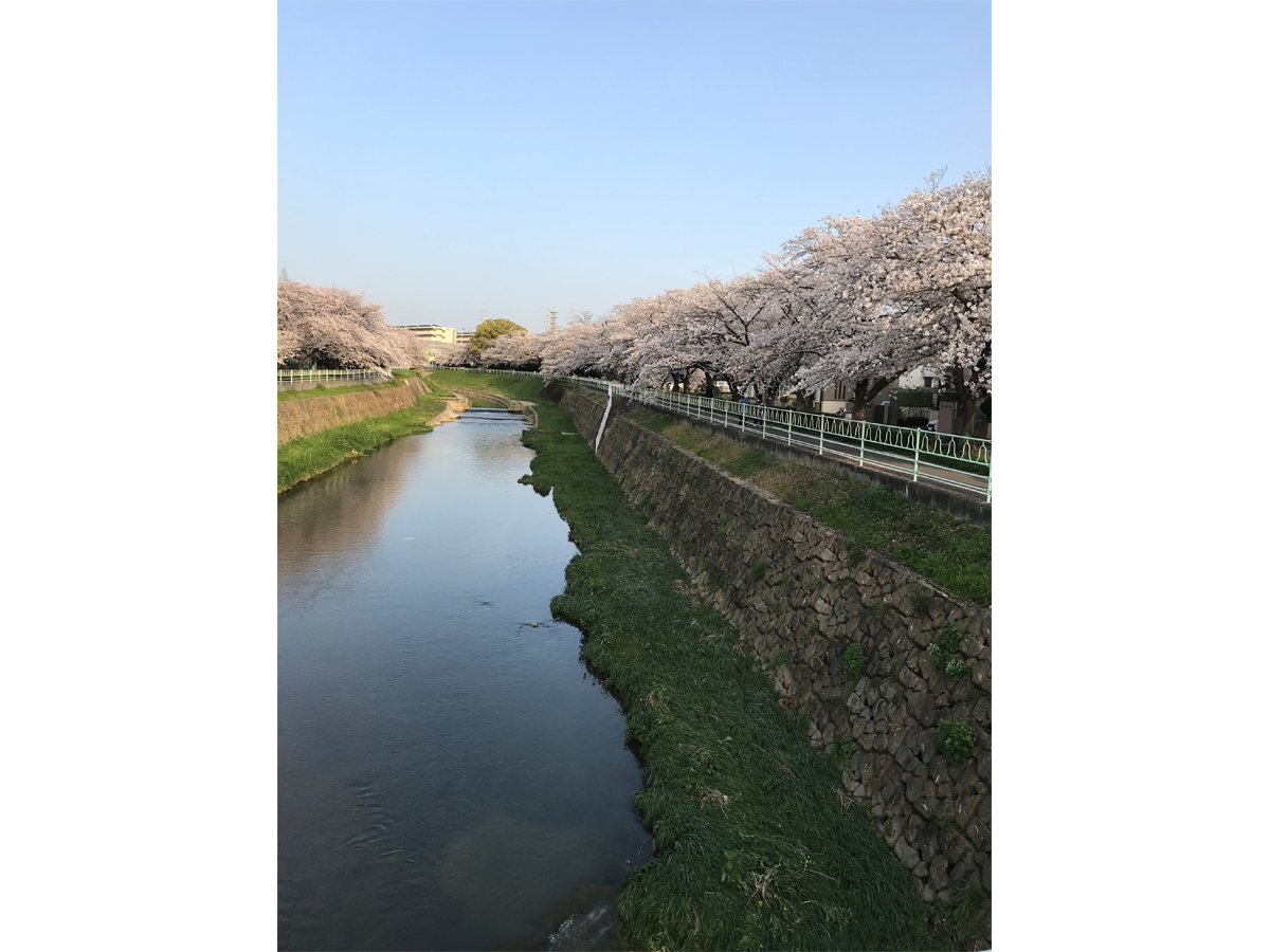 リニモ早春ウォーキング