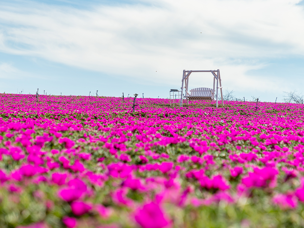 Tourism Farm Hana Hiroba