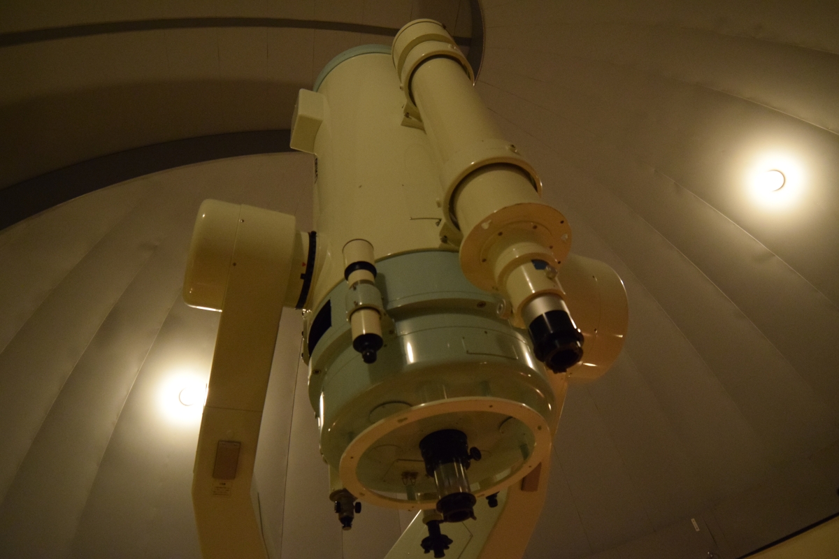 スターフォーレスト御園