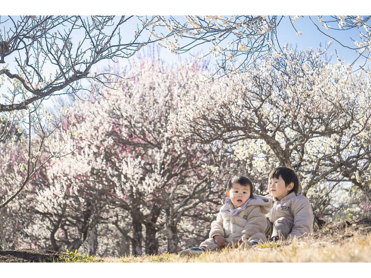 Mukaiyama Greenery Park's Plum Tree Orchard and Spring Festival