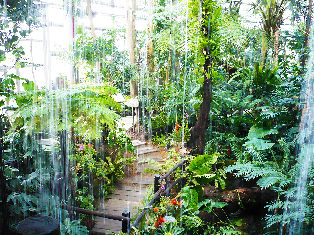 Toyohashi Zoo & Botanical Park (Non Hoi Park)