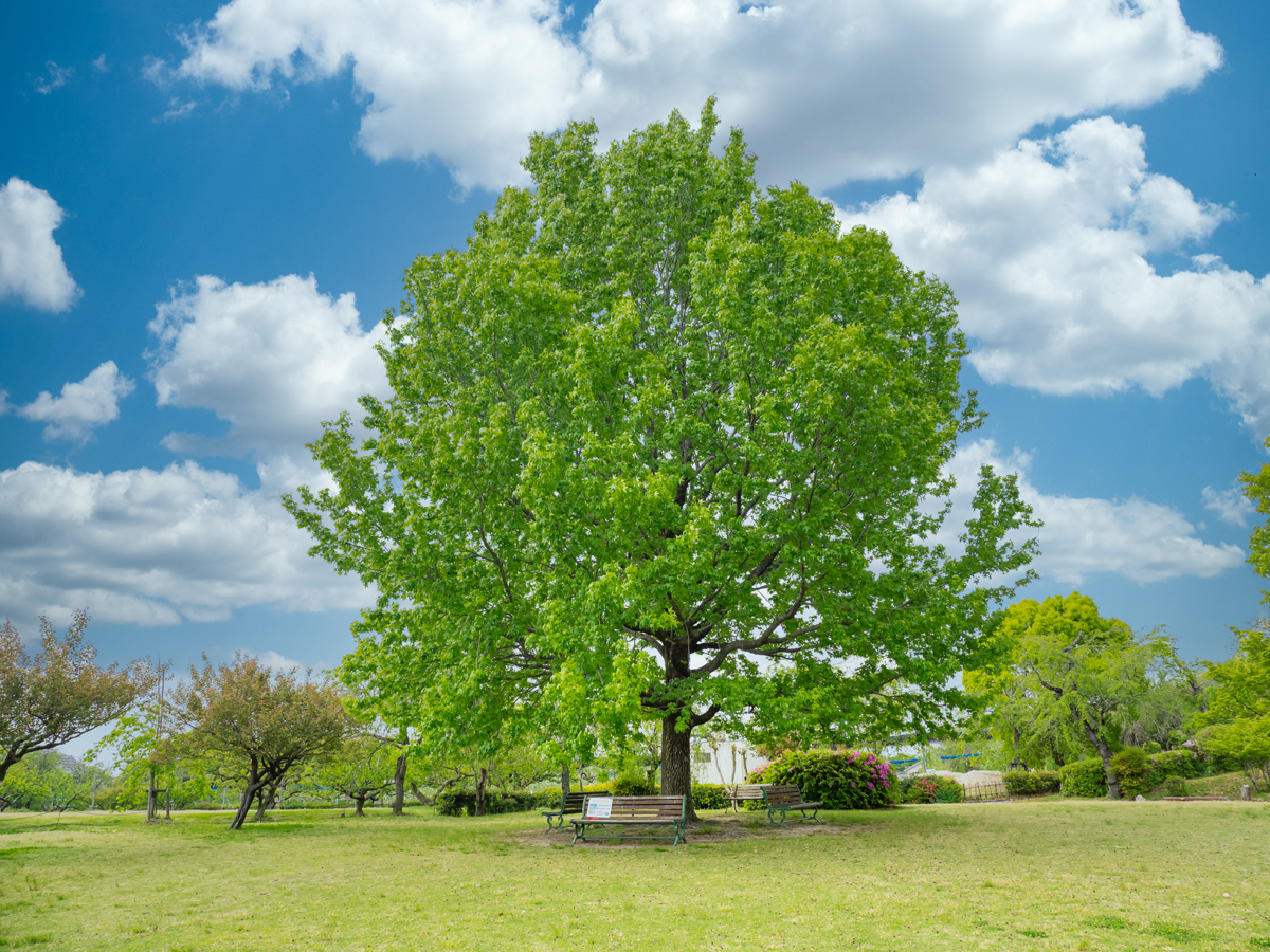 東谷山フルーツパーク