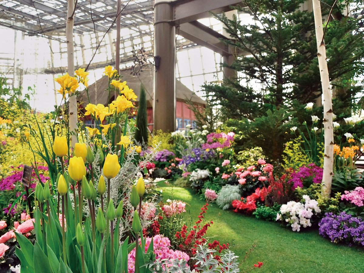 安城産業文化公園 デンパーク