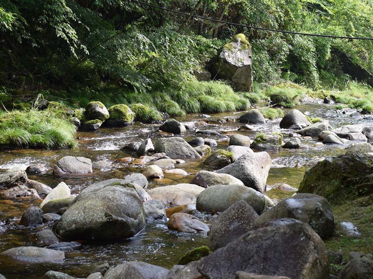 渓流マスツリ場