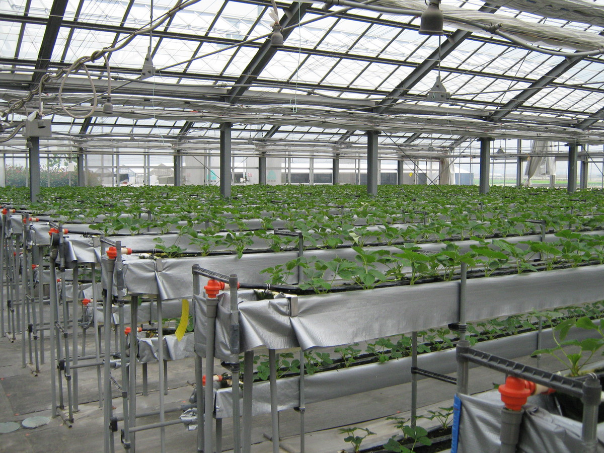 헤키난시 농업활성화센터 아오이 파크