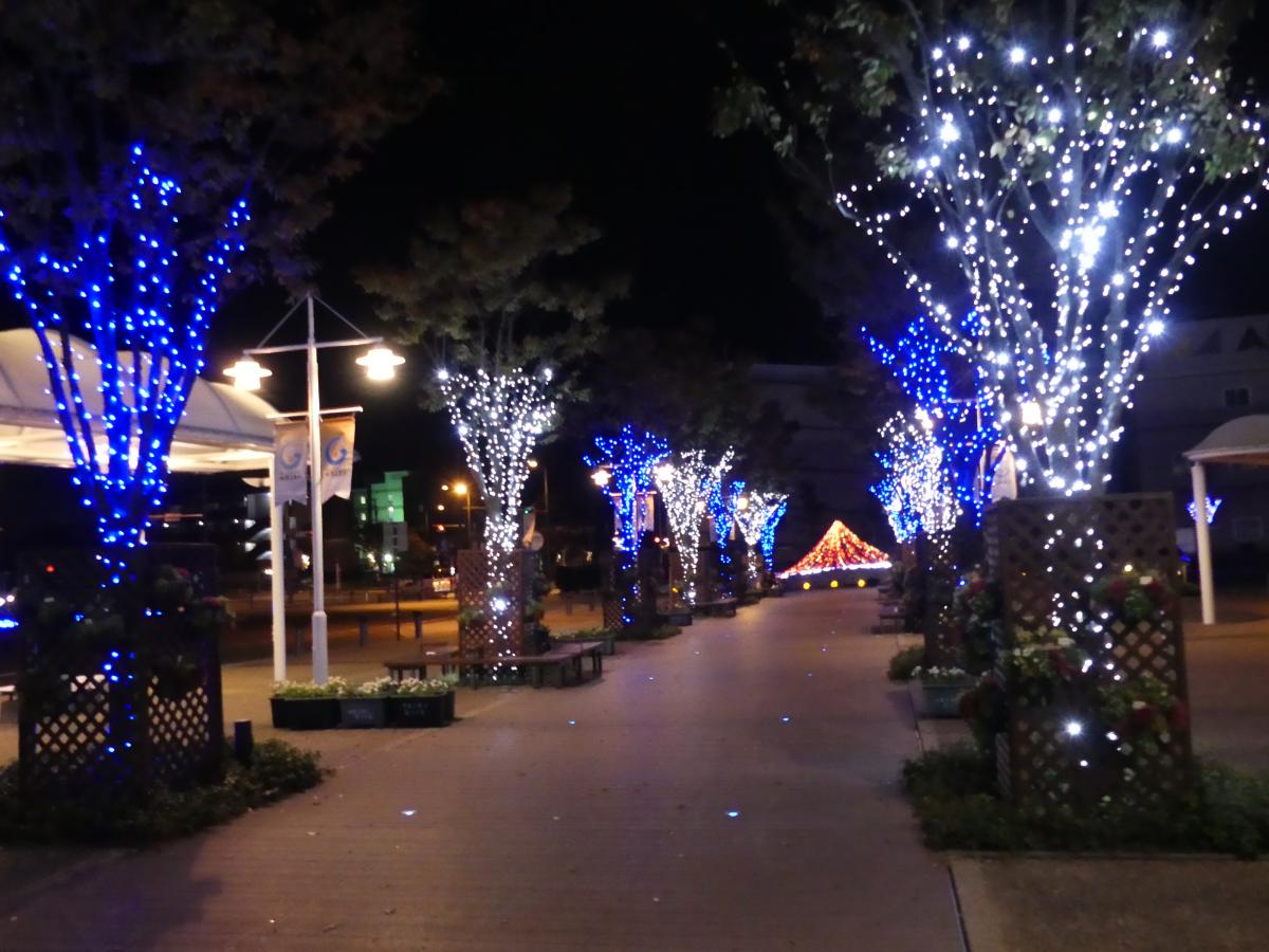 Gamagori Station Illumination